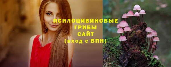 дживик Белоозёрский