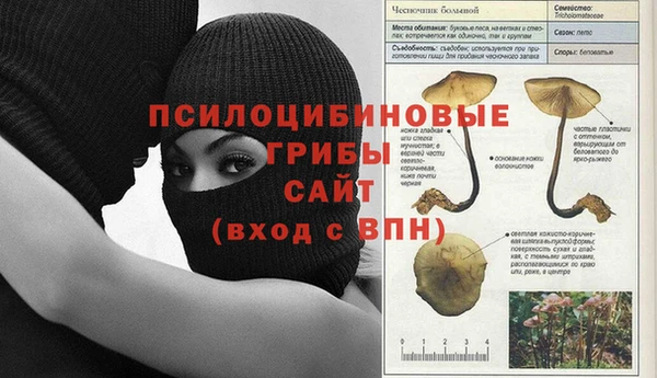 дживик Белоозёрский