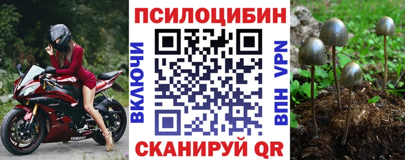 ОМГ ОМГ онион  Городец  Псилоцибиновые грибы мицелий 